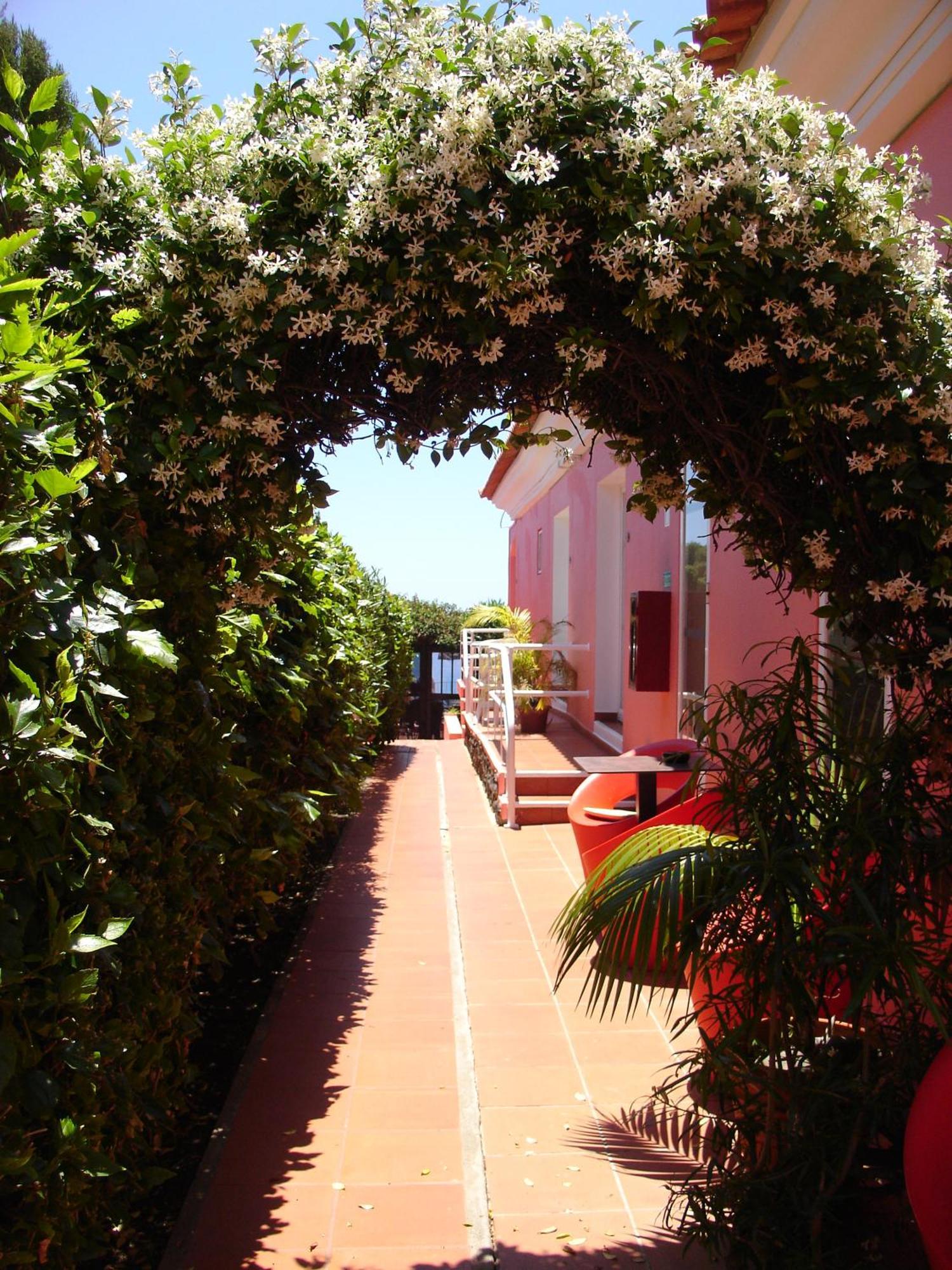 Inn & Art Madeira Caniço Εξωτερικό φωτογραφία